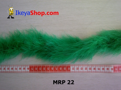 MRP 22  large2